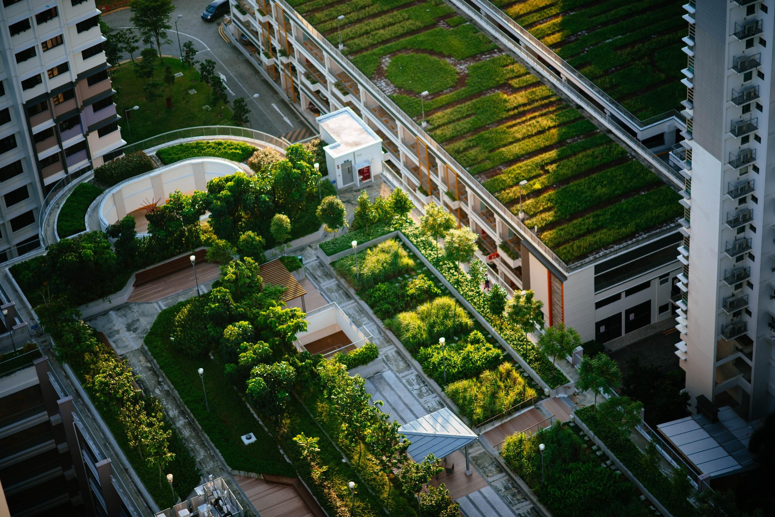 'Green roofs' such as these not only have environmental benefits, but a study shows they also strengthen your attention skills if you look at them during a micro-break.